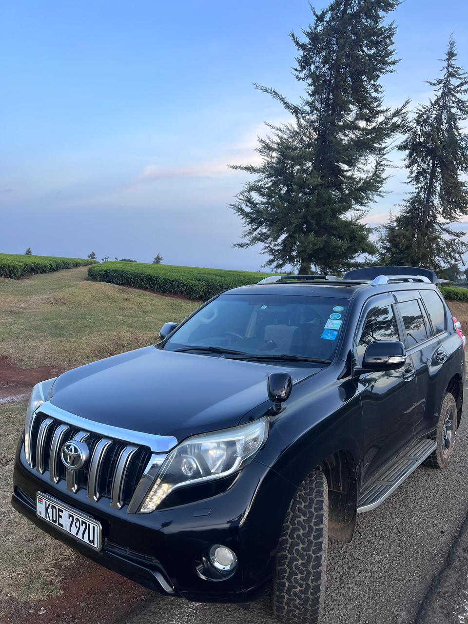 TOYOTA LANDCRUISER