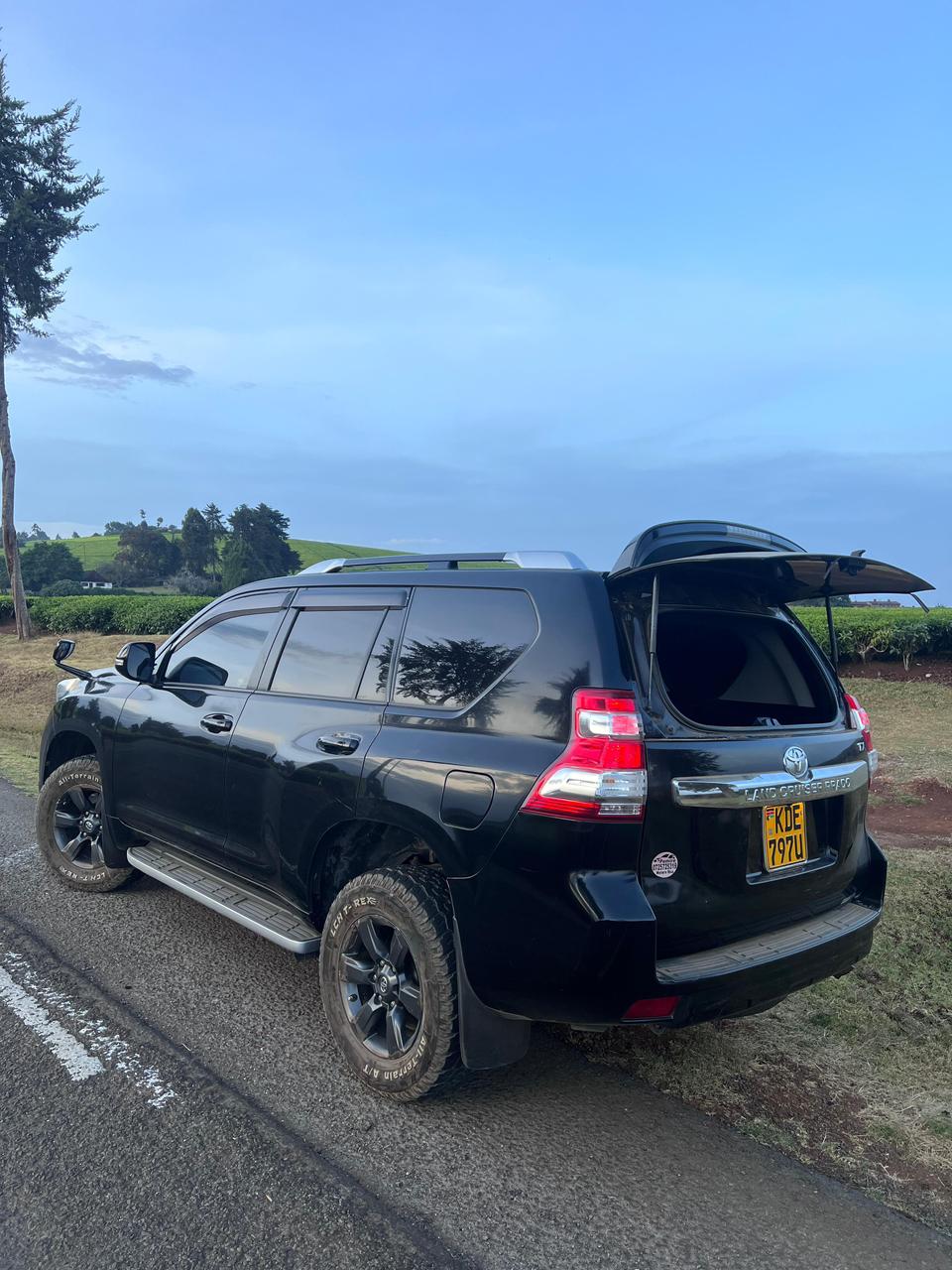 TOYOTA LANDCRUISER view 4