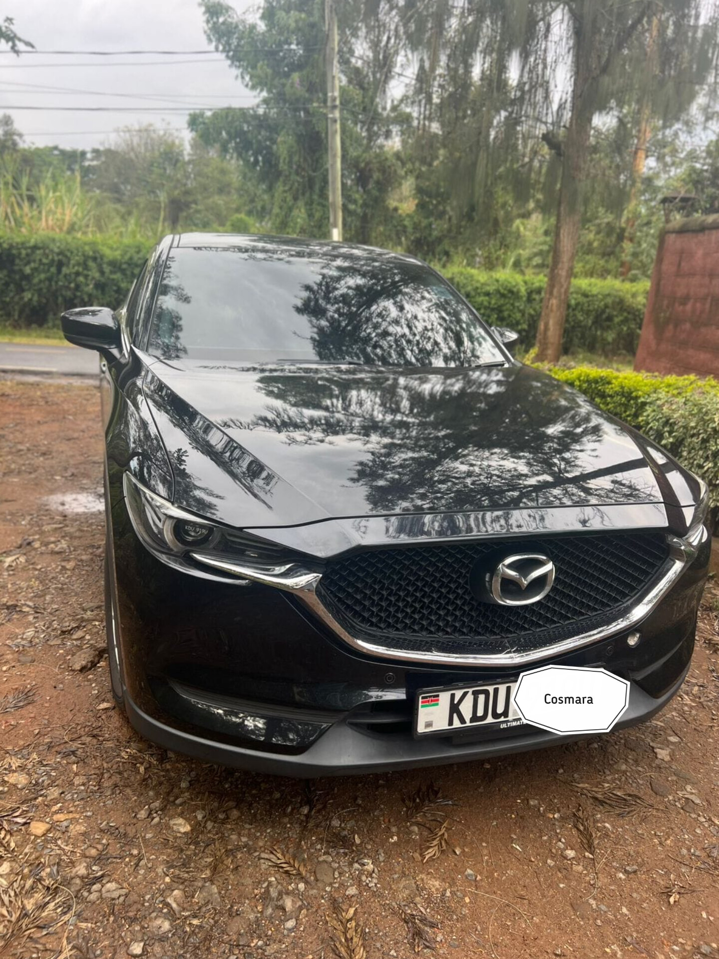 Mazda